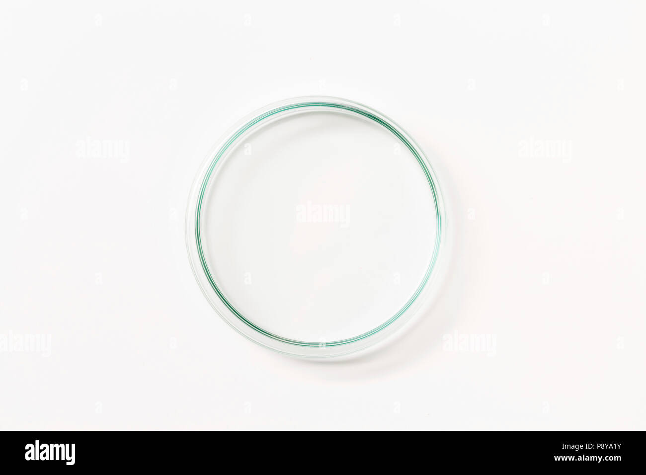 Empty petri dish Stock Photo Alamy