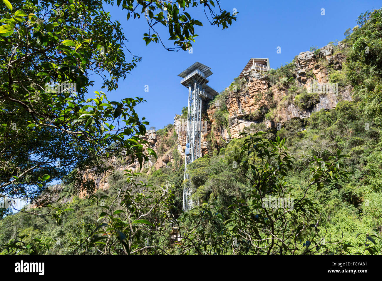The  Graskop gorge lift company's vertical lift into the popular gorge forest  site Stock Photo