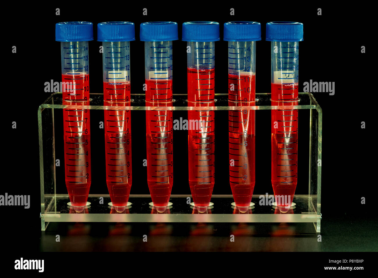 Test tubes in a rack Stock Photo Alamy