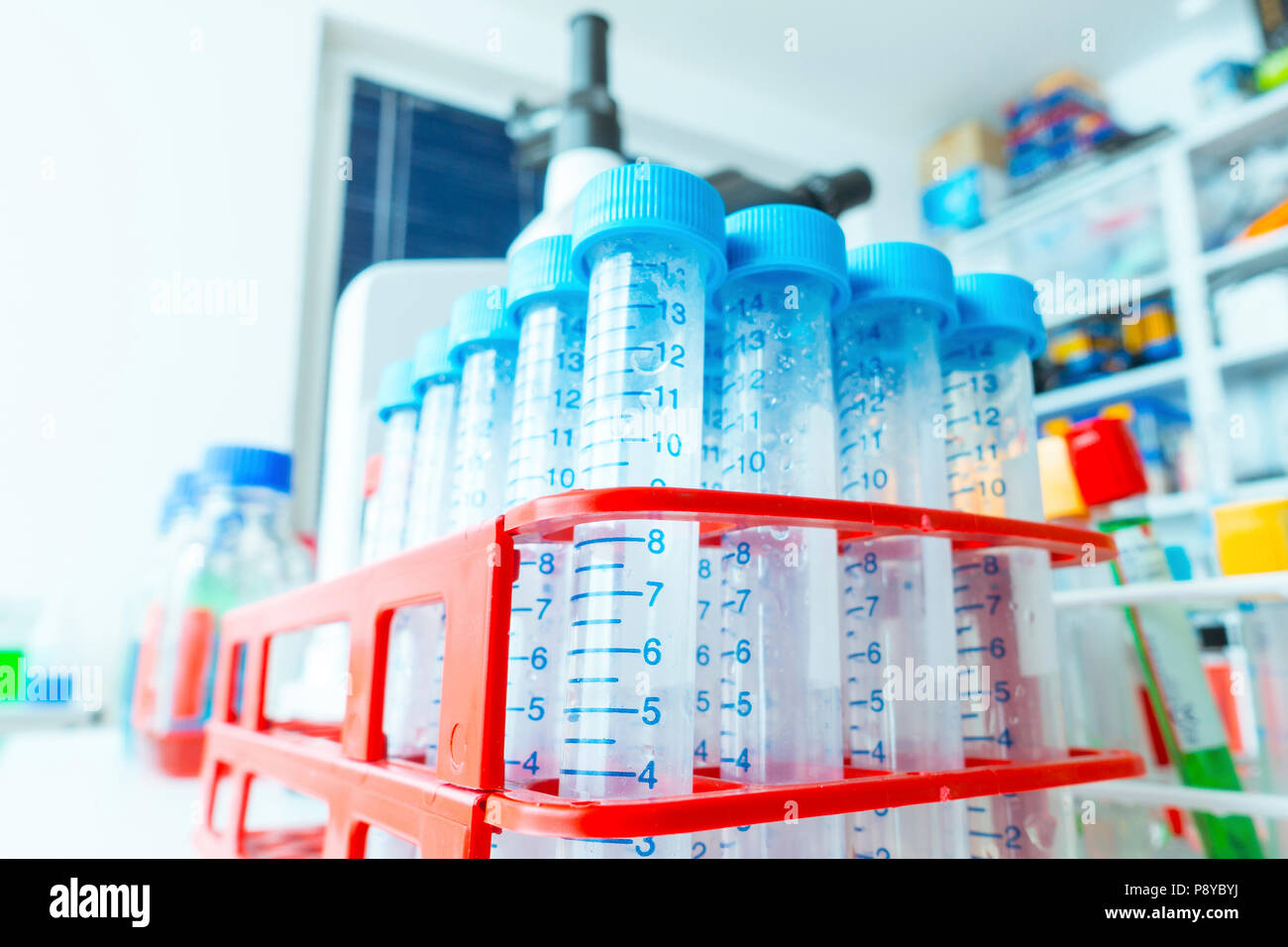 Test tubes in rack Stock Photo Alamy