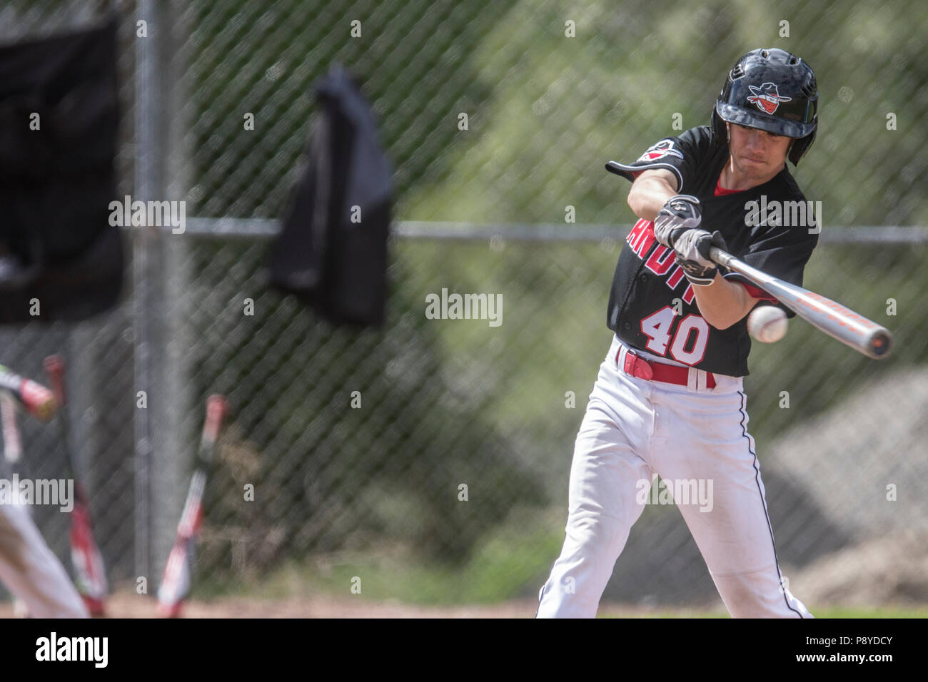 Batter swinging and just about to make contact with baseball, boys afternoon junior baseball game. Cranbrook, BC. Stock Photo