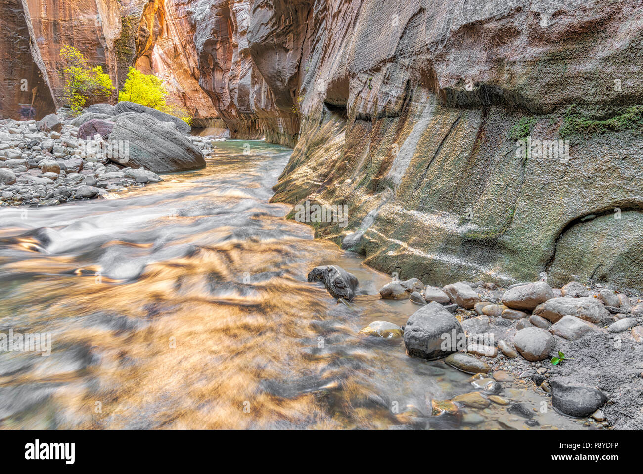 Virgin river zion national park canyon hires stock photography and