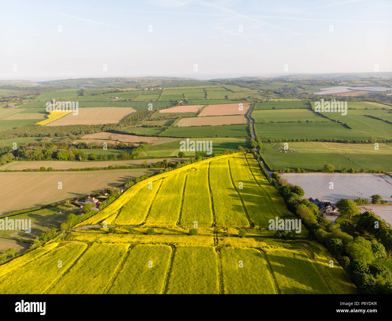 Sunny crops hi-res stock photography and images - Alamy