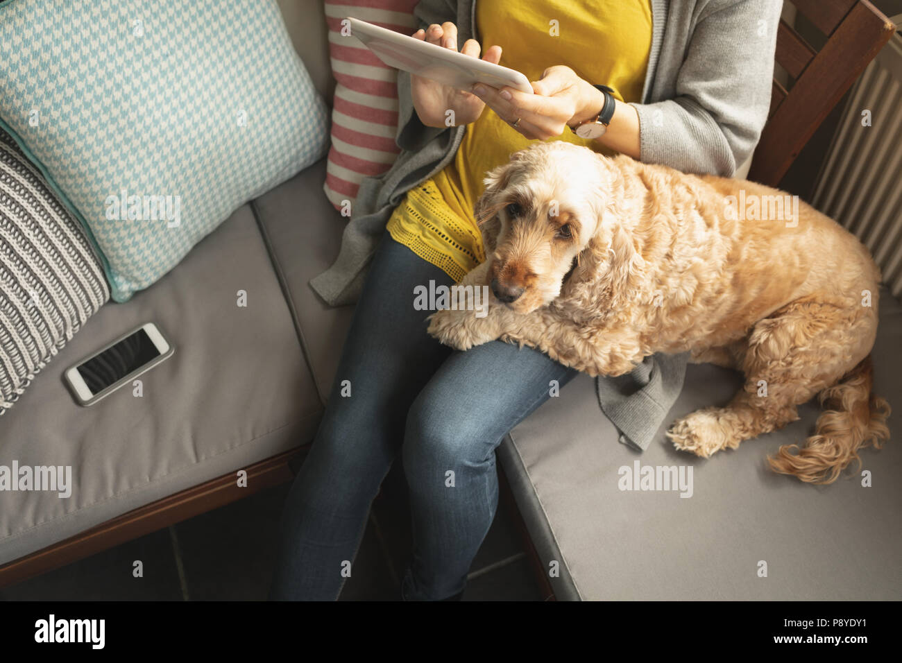 Woman using digital tablet with dog on sofa in living room at home Stock Photo