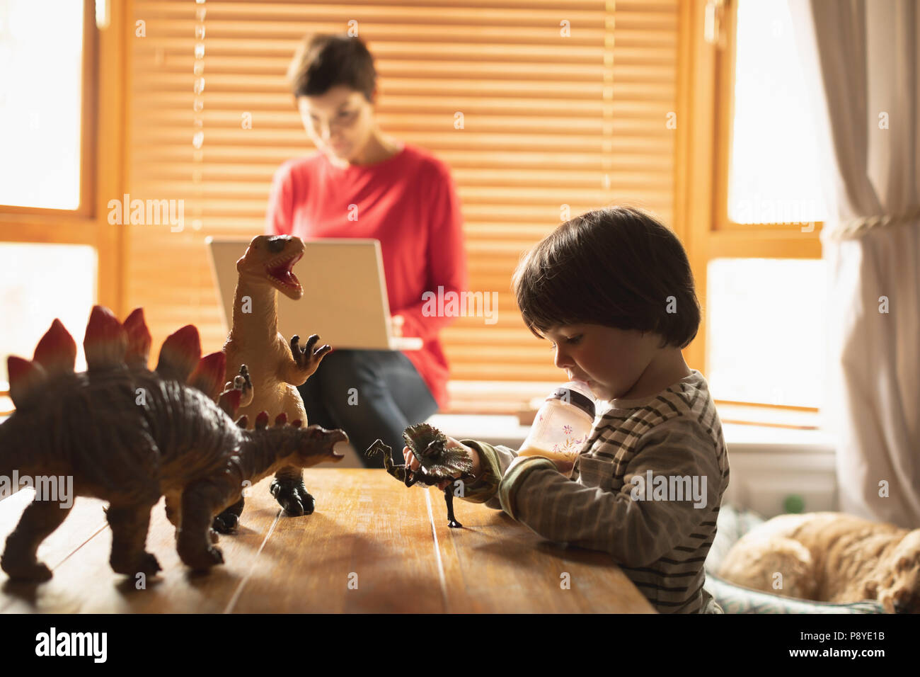 Boy playing toys while mother using laptop Stock Photo