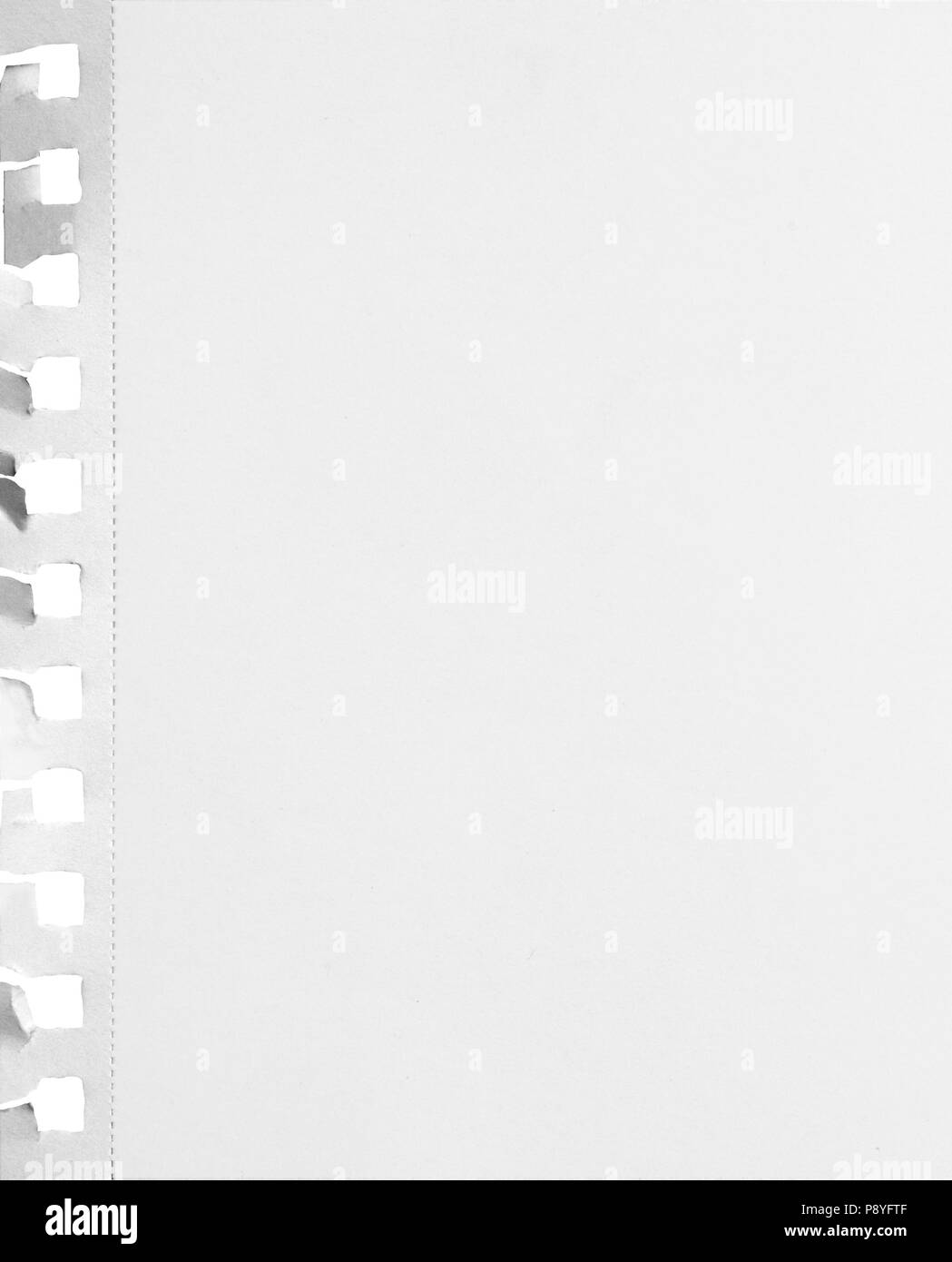 Perforated Notebook Paper