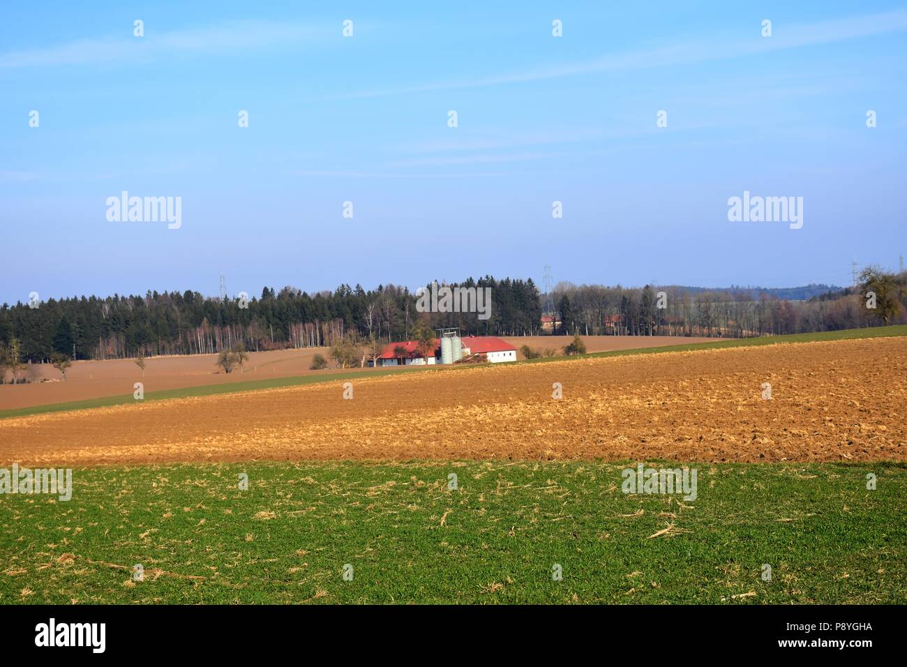 Ernsthofen, Winter, Mostviertel, Feld, Felder, Acker, Morgendämmerung, Dämmerung, Sonnenaufgang, Landwirtschaft, Vierkanter, Bauernhof, Landstraße, Fe Stock Photo