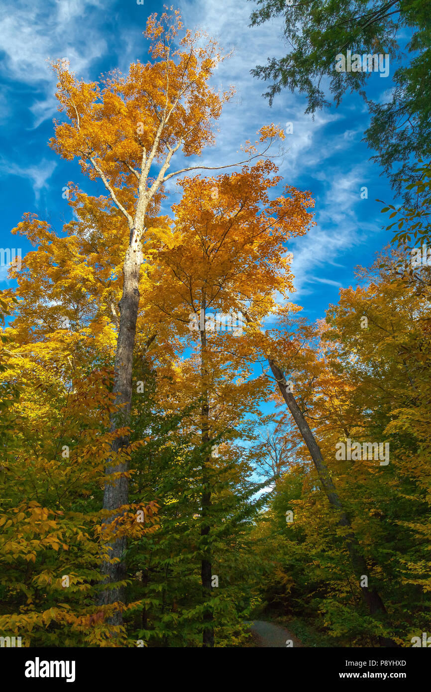 Autumn colors around Lake Boivun, Granby, Eastern Townships, Quebec. October. Stock Photo