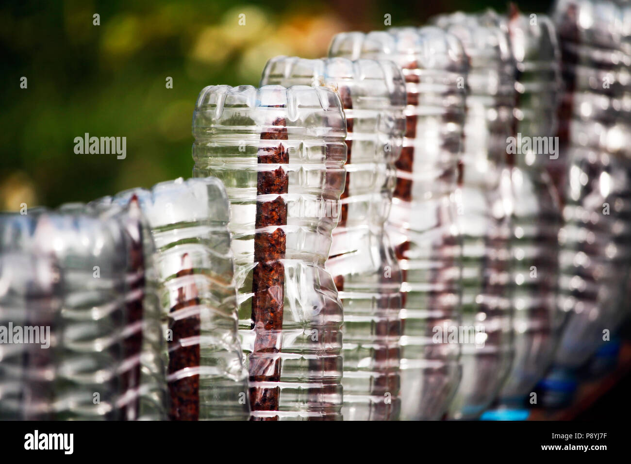 Recycled plastic bottles in a garden Stock Photo