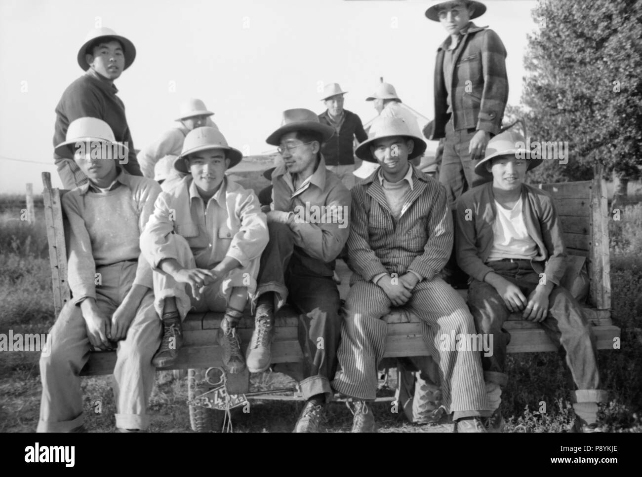 Japanese-American Farm Workers Leaving Farm Security Administration (FSA) Mobile Camp to Work in Fields, Nyssa, Oregon, USA, Russell Lee, Farm Security Administration, July 1942 Stock Photo