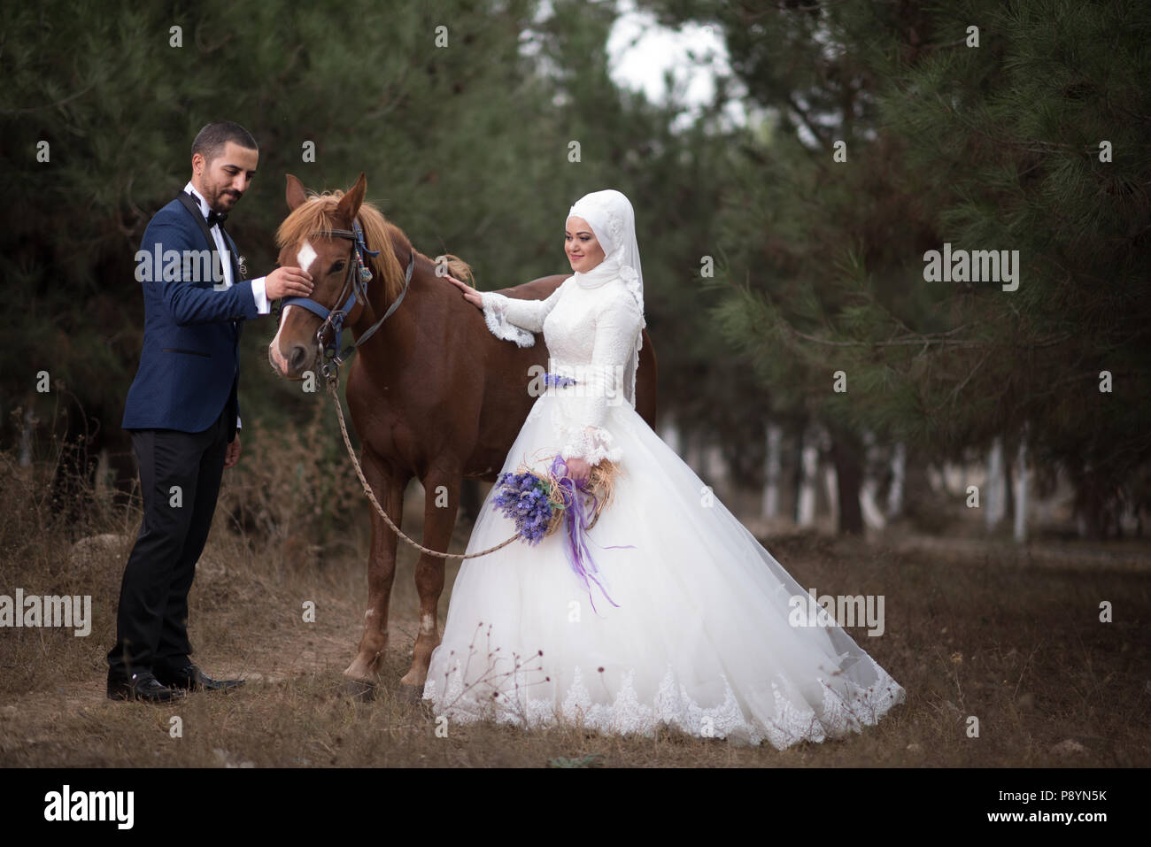 Bride And Groom Horse Traditional Wedding Ceremony Marriage