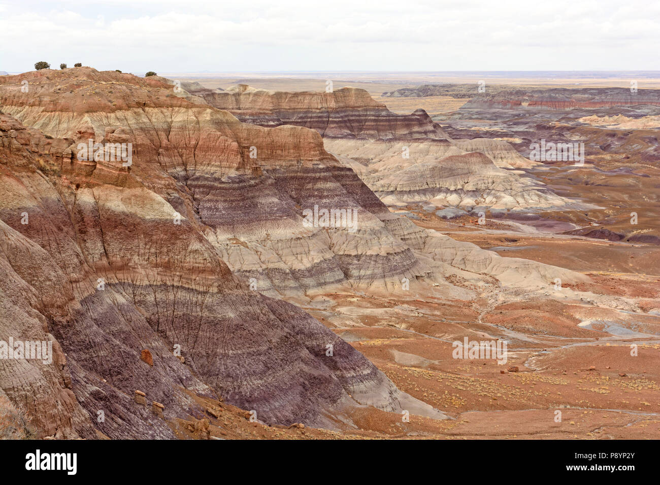 Colorful Ridges in the Painted Desert of Petrified Forest National Park ...