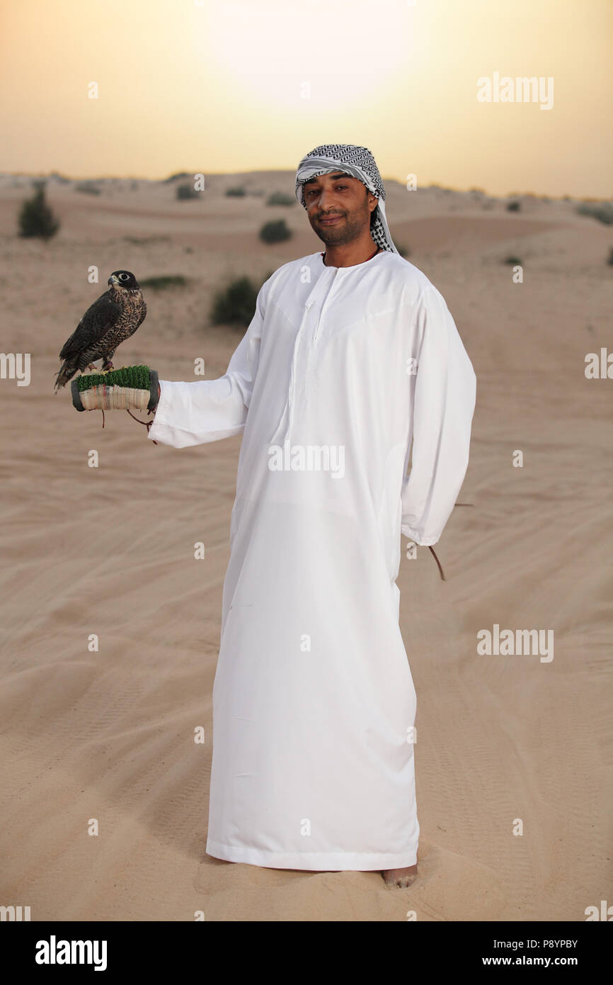Arab man badawi dressed in Arabic style dress with trained  falcon in Dubai desert Stock Photo