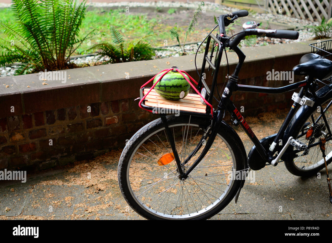 best watermelon photo, Watermelon on a bike, organic lifestyle, organic feeding lifestyle Stock Photo