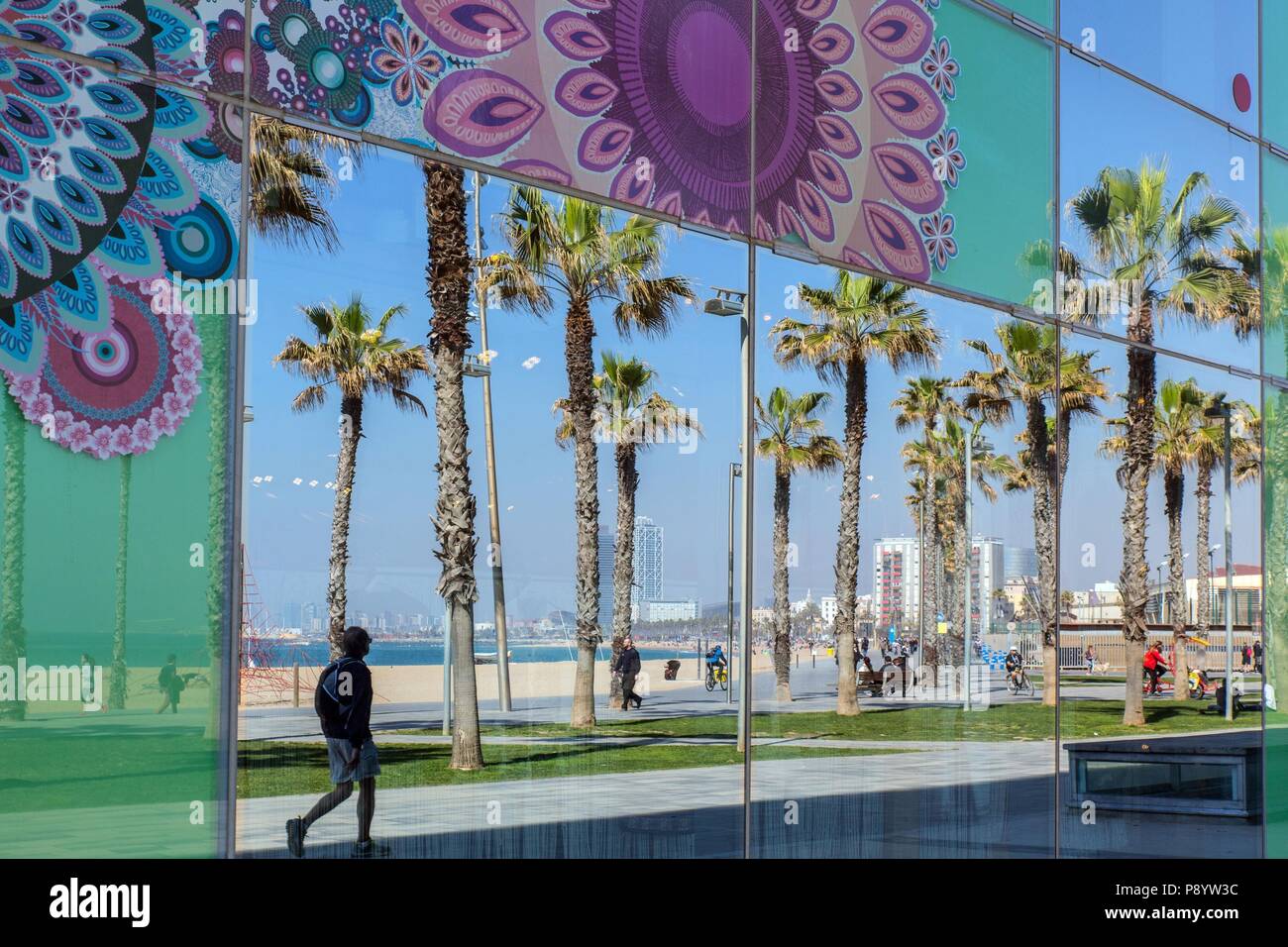 Window barceloneta hi-res stock photography and images - Alamy