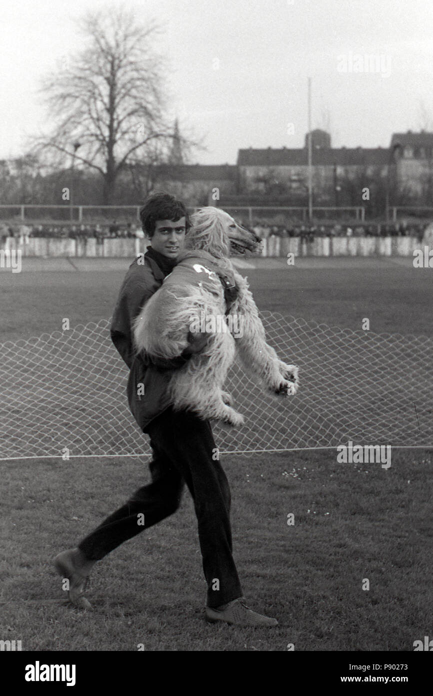 Dresden, DDR, man carries his Afghani greyhound to the starting point of a greyhound race Stock Photo