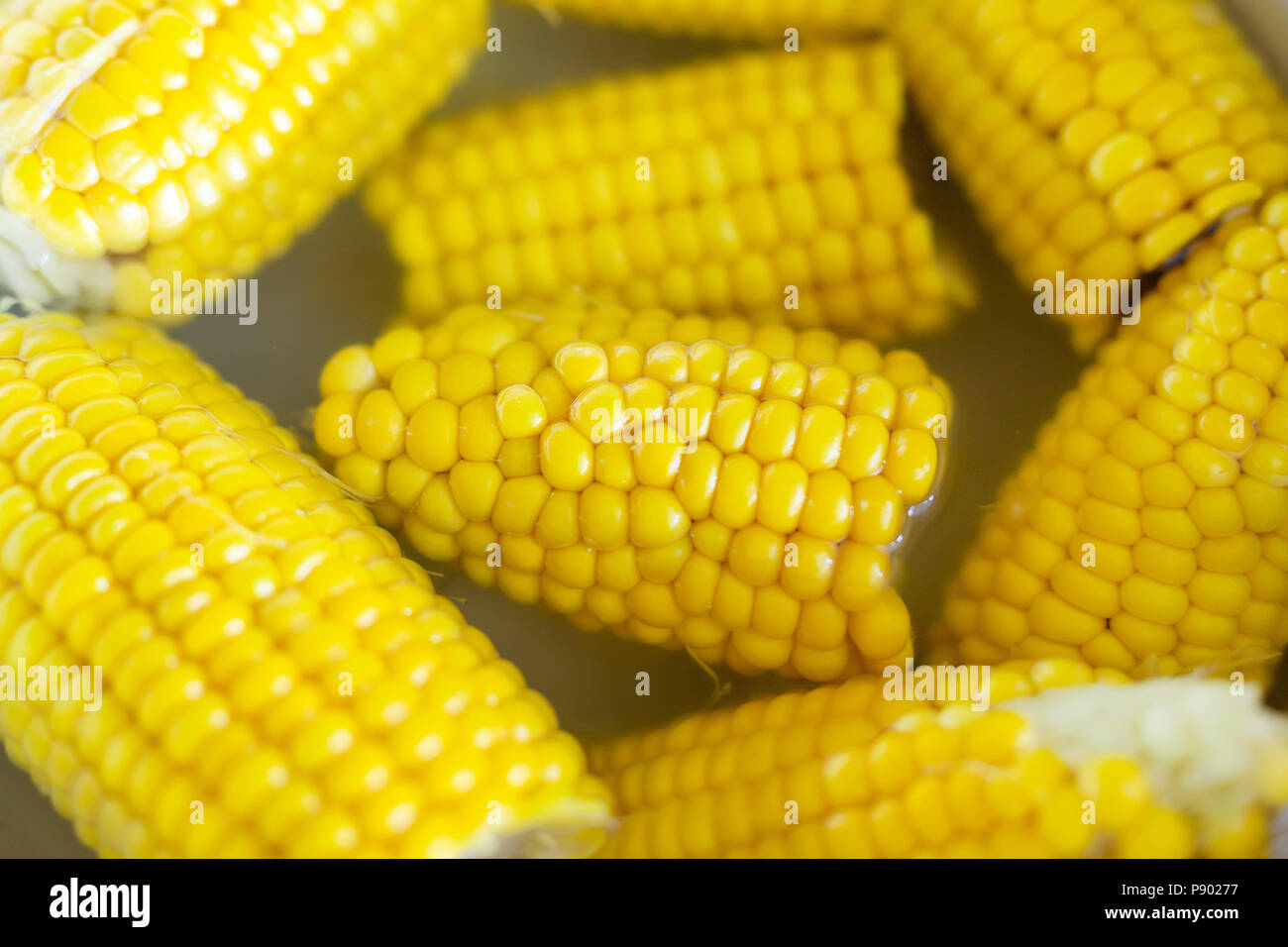 Sweet Tasty Organic Boiled Corn In Pot Natural Bio Ripe Sweetcorn Cereal Healthy Source Of Calcium Potassium Magnesium And Iron Yellow Food Backg Stock Photo Alamy