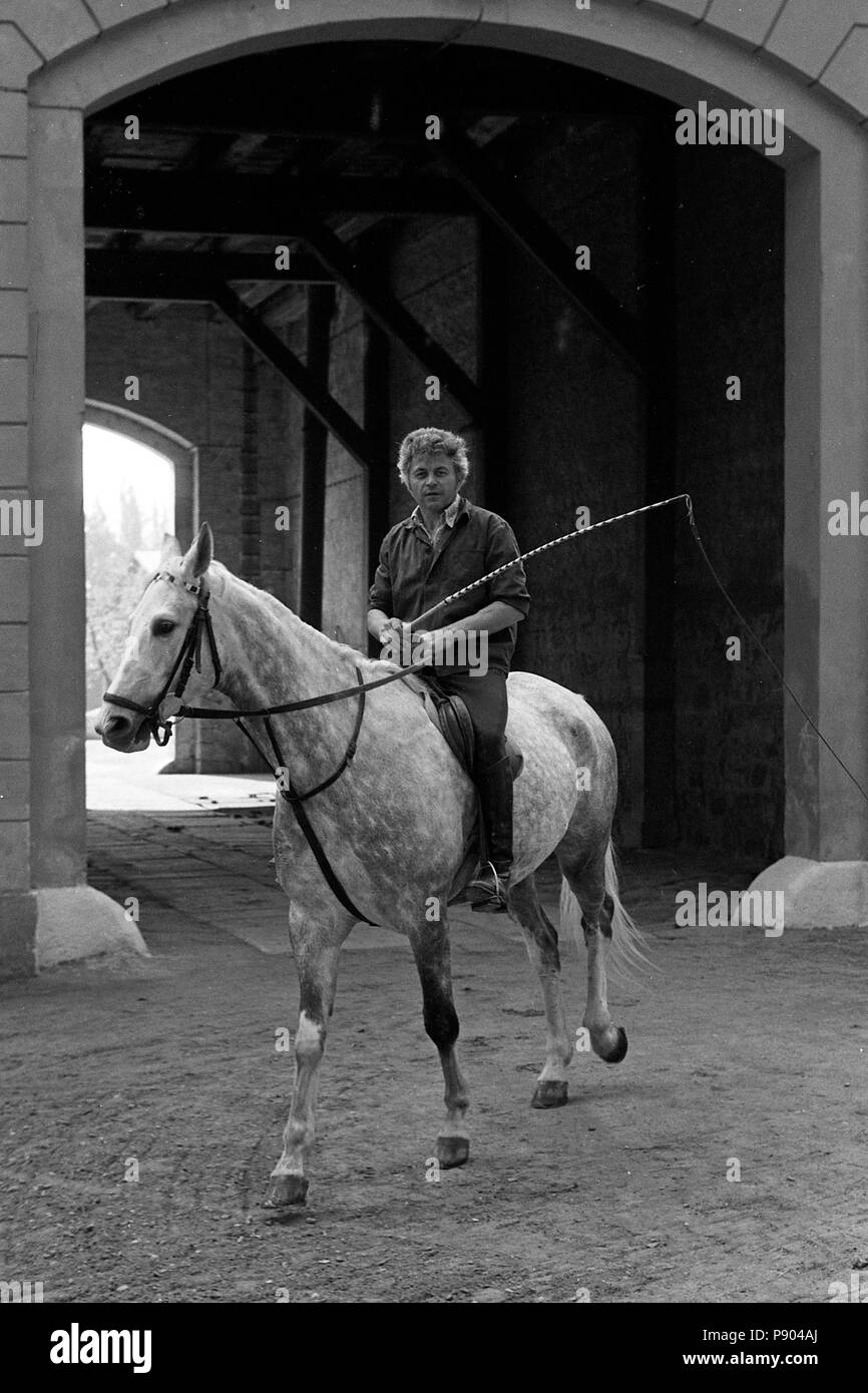 Gestuet Graditz, Pferdewirt rides with lunging whip Stock Photo