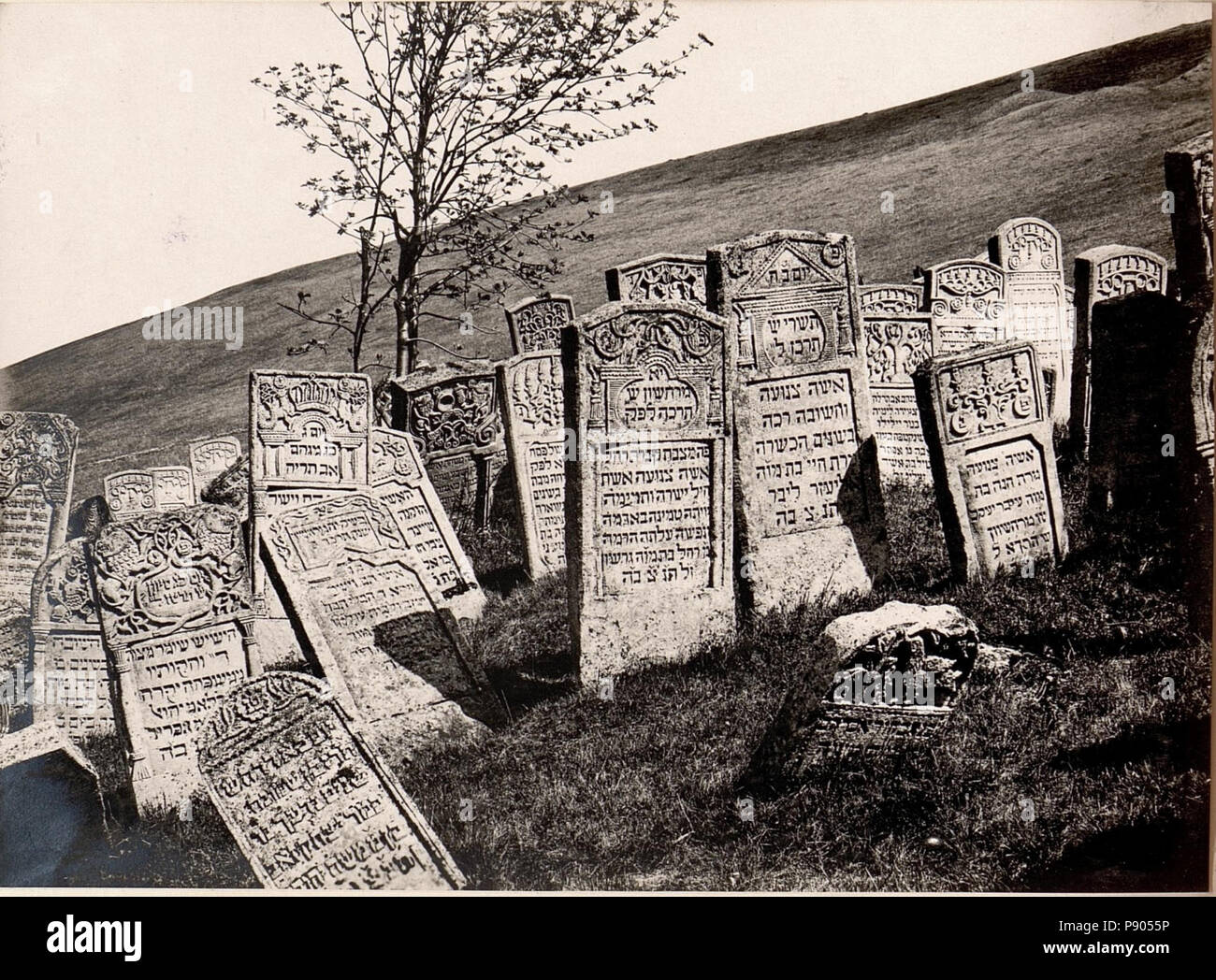 354 Jüdischer Friedhof in Narajow (BildID 15530025) Stock Photo