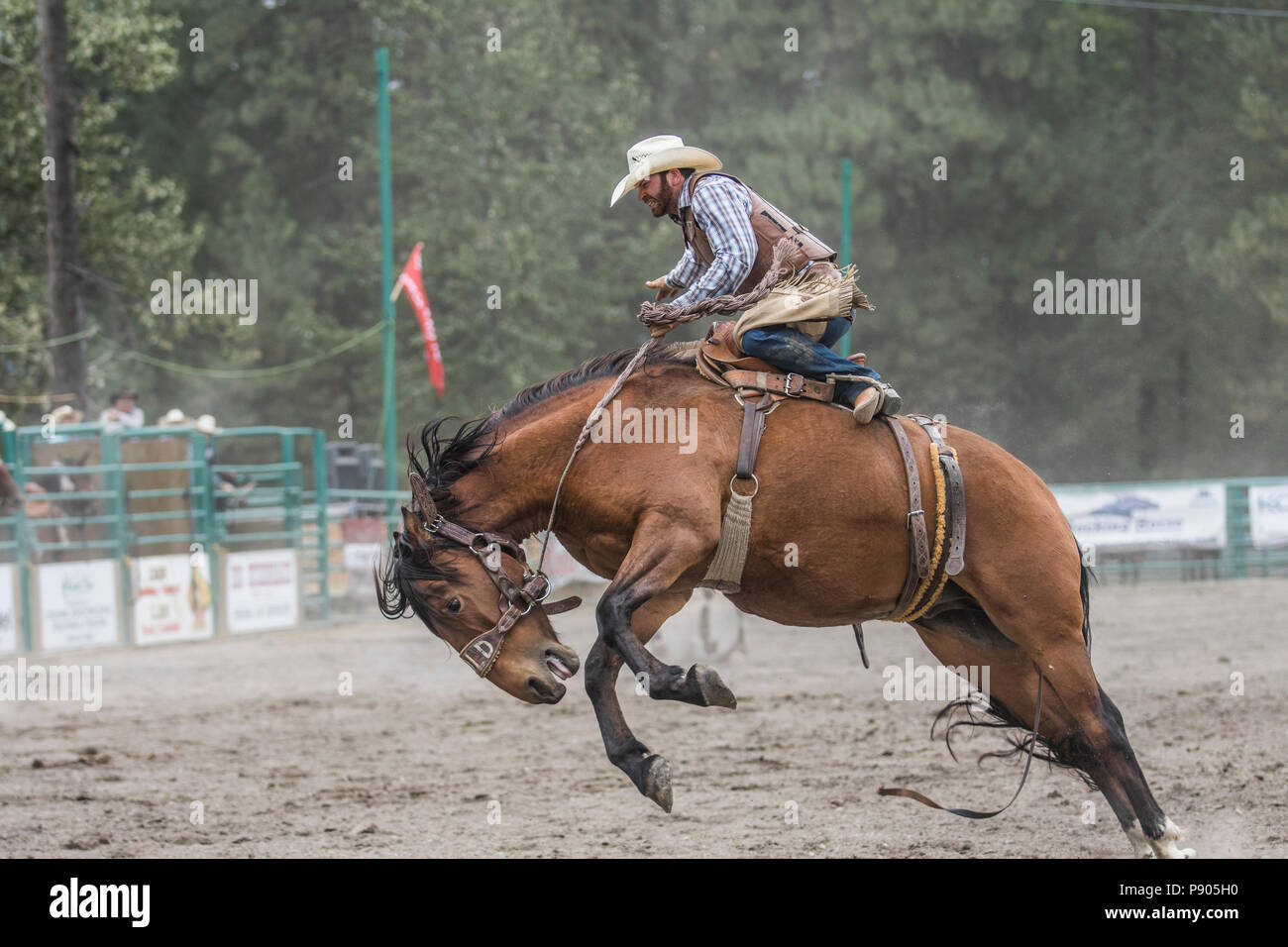 Cowboy boots spurs hi res stock photography and images Page 5