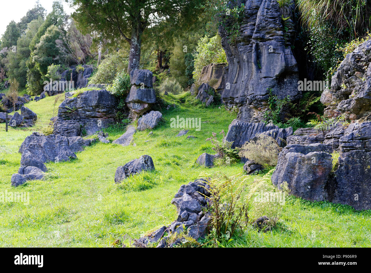 Farmland with basalt rock formations in the Waikato region, New Zealand Stock Photo