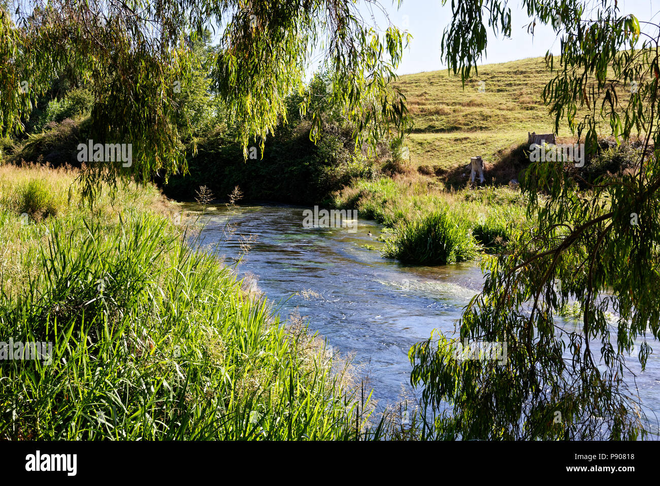 North Island Rivers River surrounded in typical North Island, New Zealand scenery Stock ...