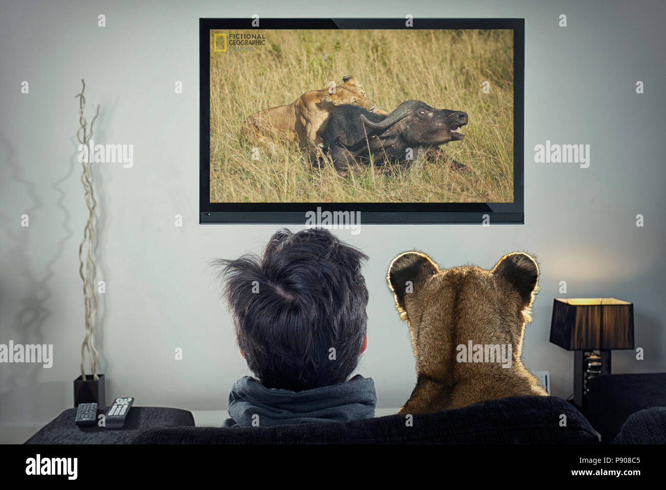 Animal wathing tv funny photo lion watching documentary Stock Photo
