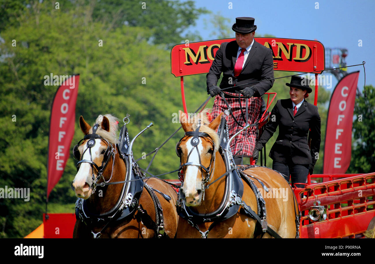 Guildford, England - May 28 2018: Dray or open wooden wagon belonging to Morland Brewery, being pulled by two bay Shire horses in traditional leather  Stock Photo