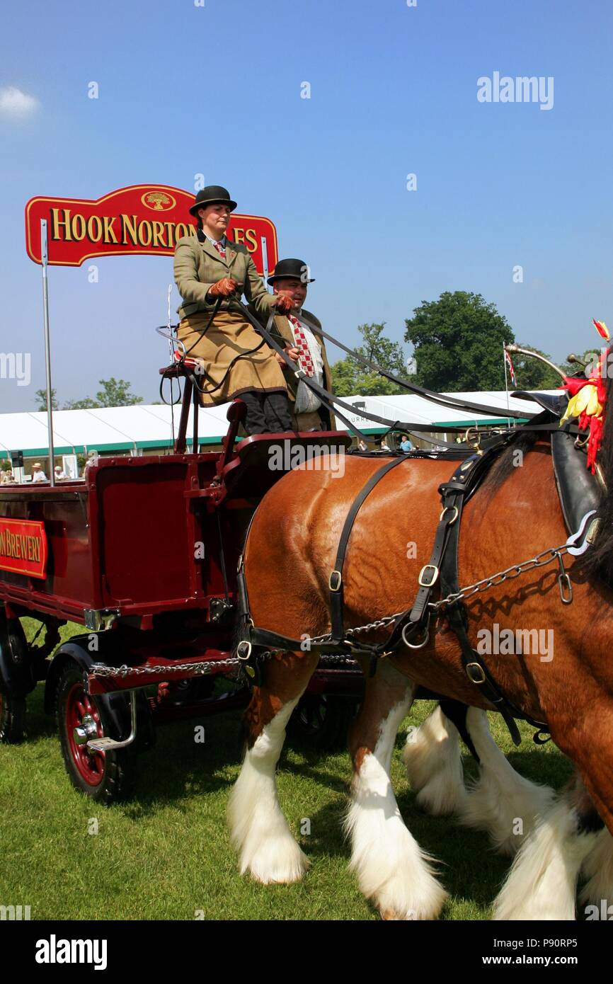 Guildford, England - May 28 2018: Dray or open wooden wagon belonging to Hook Norton Brewery, being pulled by two bay Shire horses in traditional leat Stock Photo