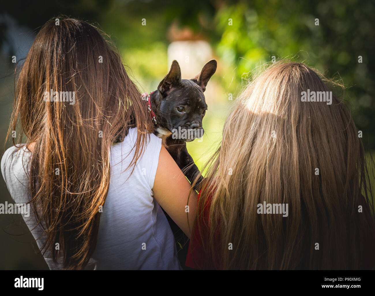 Young Pretty Girls With French Bulldog Puppy Stock Photo