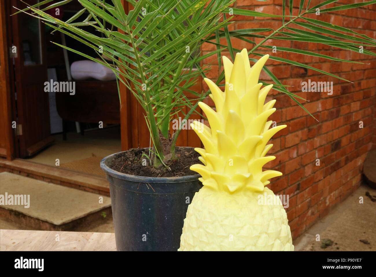Green plant and yellow plastic pineapple at a fete - alternative display decoration. Stock Photo