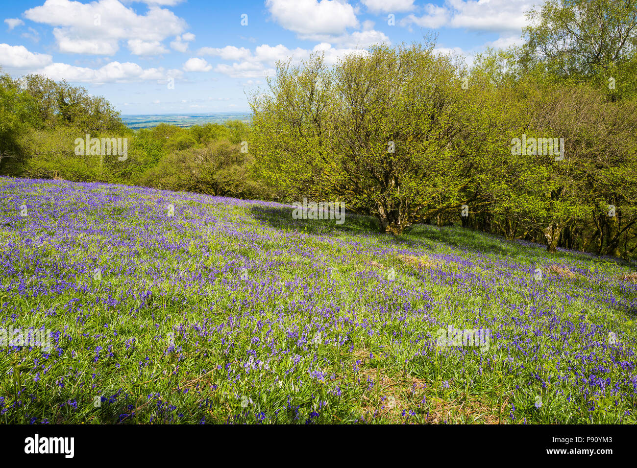 Okehampton dartmoor hires stock photography and images Alamy