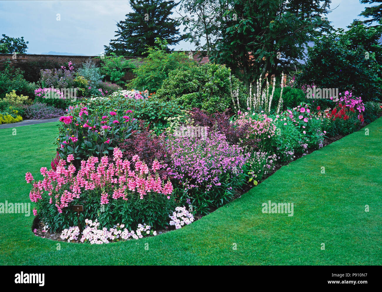 A large Pink flower border in a country garden Stock Photo