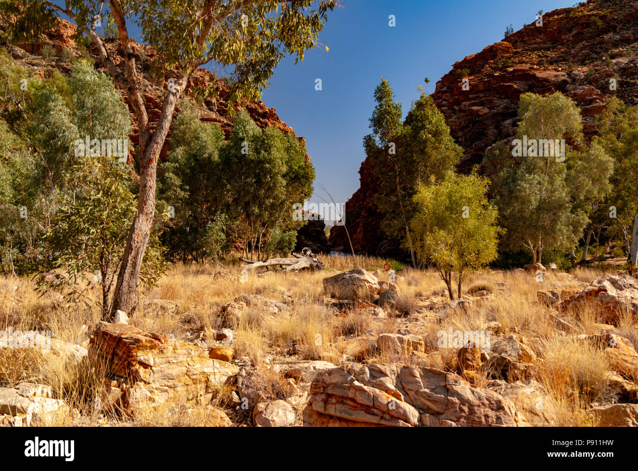 Ellery Creek Big Hole, West MacDonnell ranges and National Park, near Alice Springs, Northern
