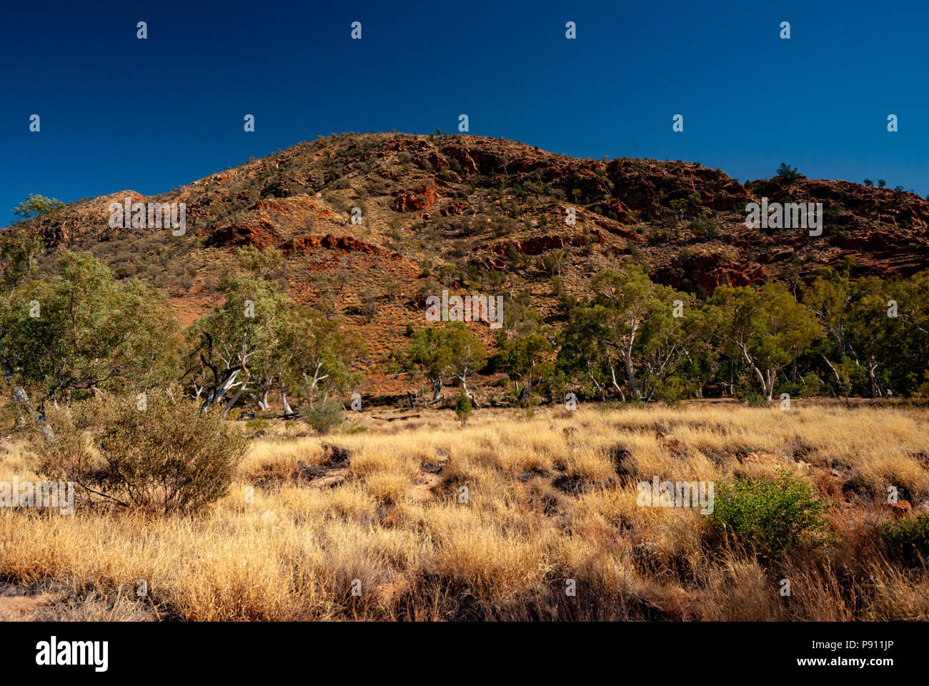 Ellery Creek Big Hole, West MacDonnell ranges and National Park, near Alice Springs, Northern