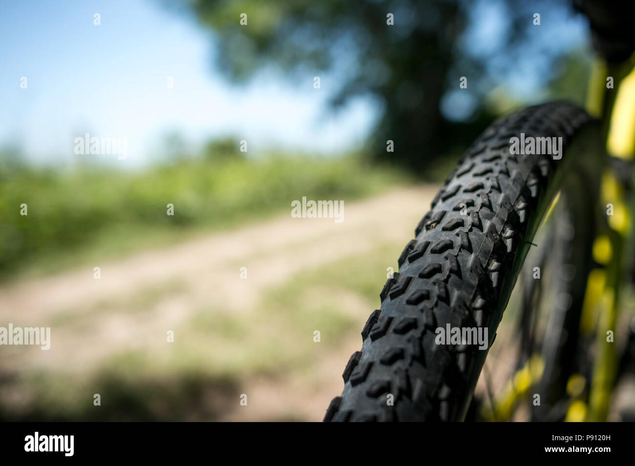 Close up view of rear mountain bike tyre in Queen Elizabeth Country Park, Hampshire. Stock Photo