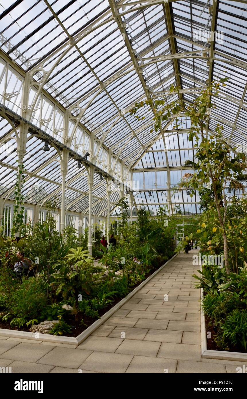 Interior of the newly restored Temperate House, The Royal Botanic ...