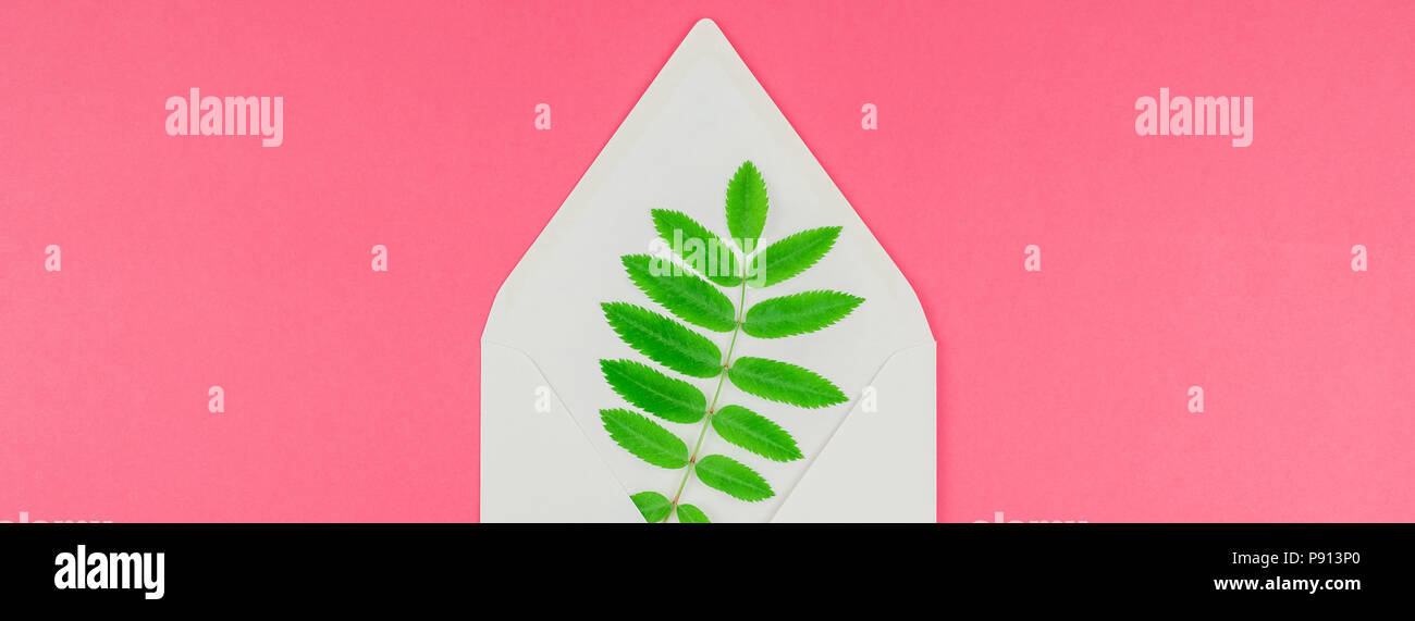 Creative flat lay top view white letter mock up with fresh green rowan ...