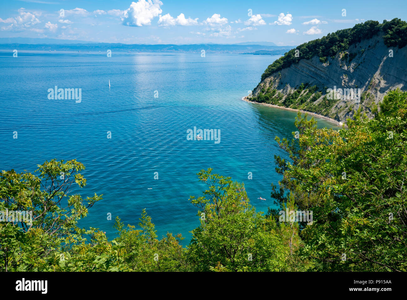 Strunjan, Slovenia, 14 July 2018.  Cliff and beach at the Adriatic Sea in the Strunjan Natural Reserve, which is the longest section of unspoilt coast Stock Photo