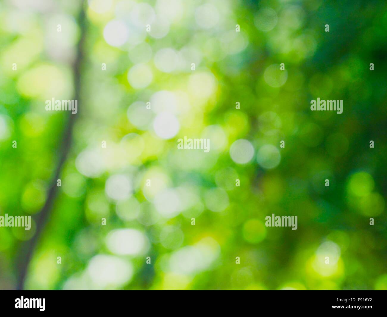 Japan bokeh hi-res stock photography and images - Alamy