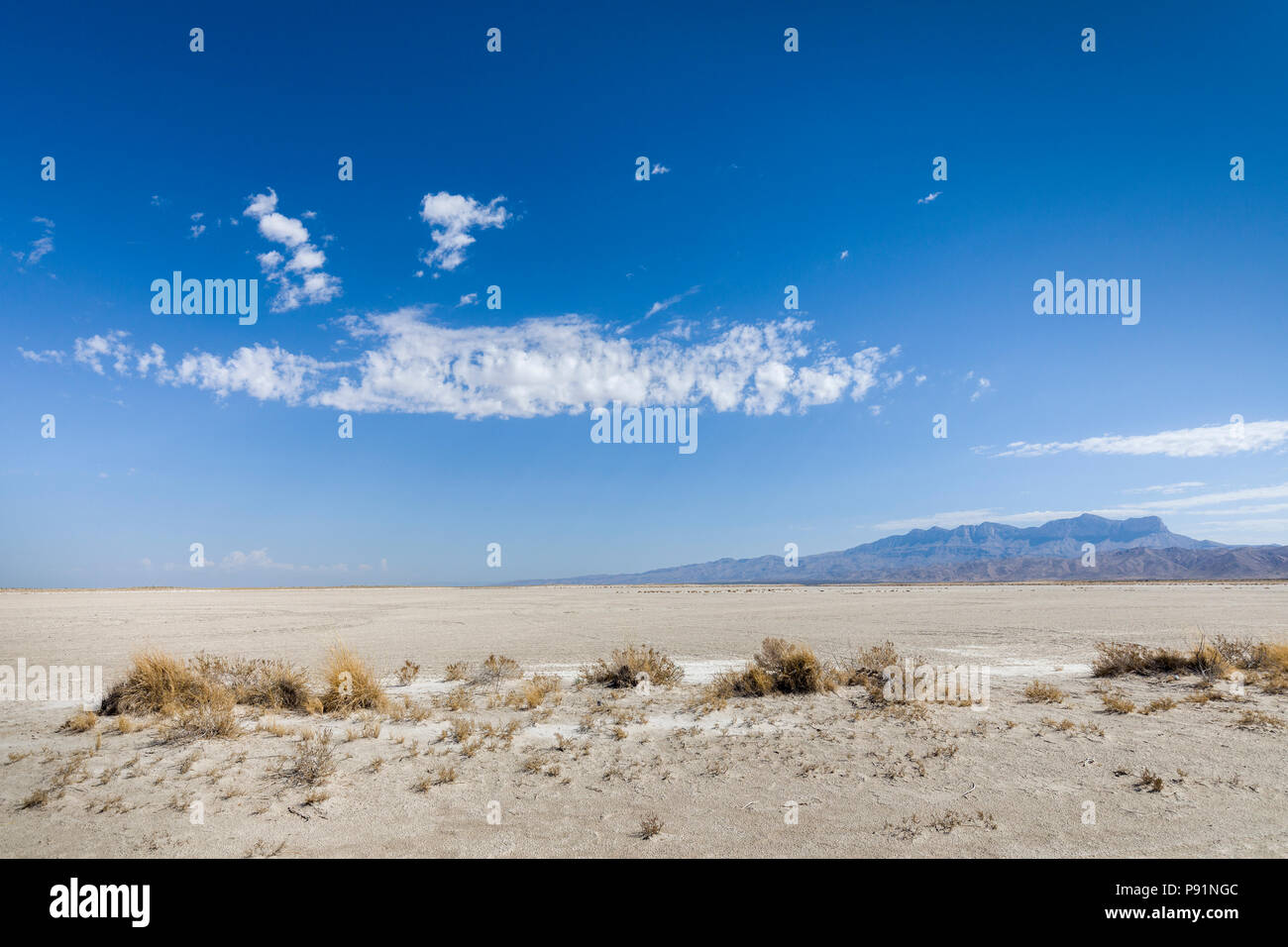 Desert salt flats with Guadalupe mountains in distance, New Mexico, USA