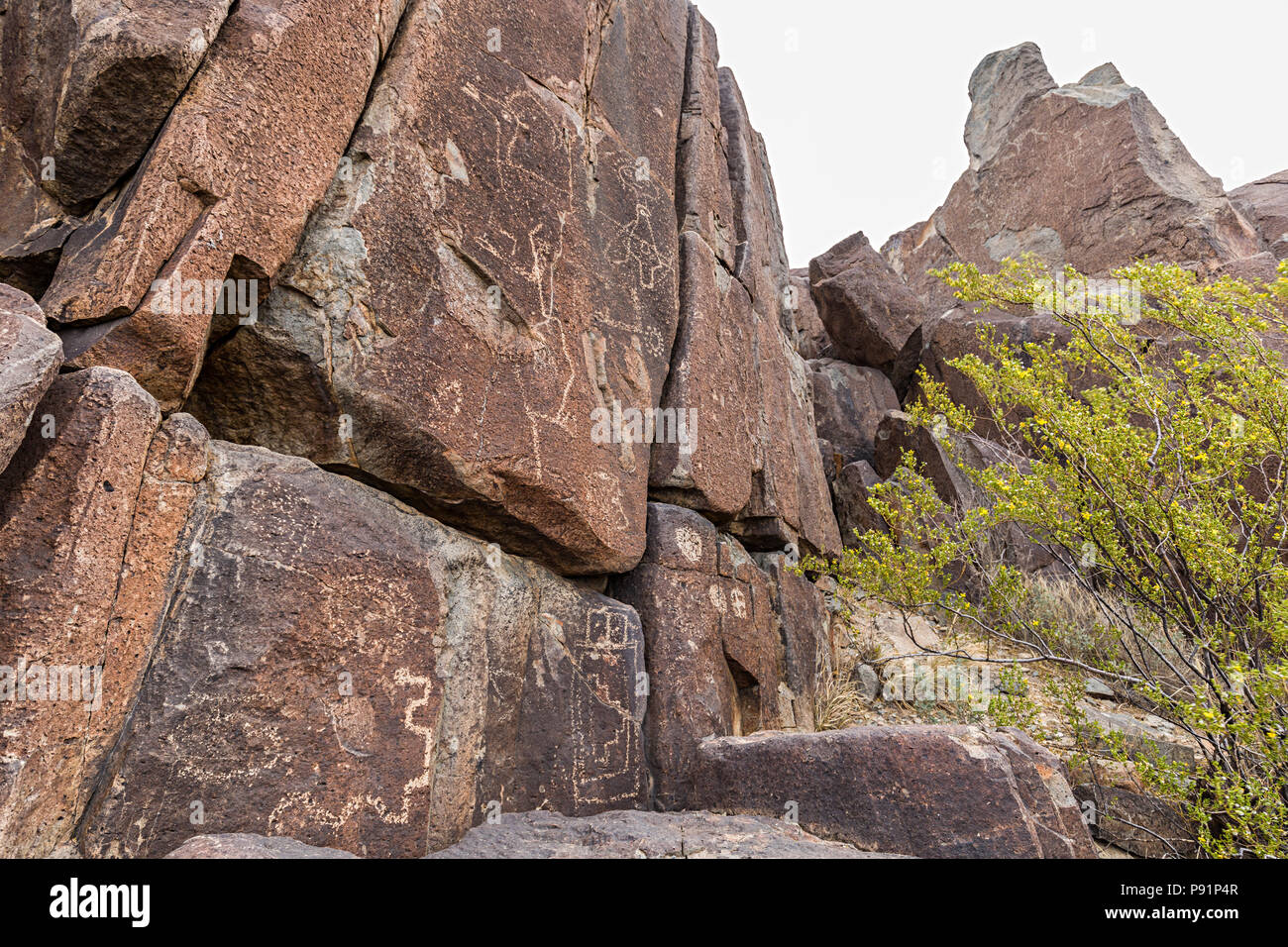 Jornada Mogollon rock art at Three Rivers Petroglyph Site, New Mexico
