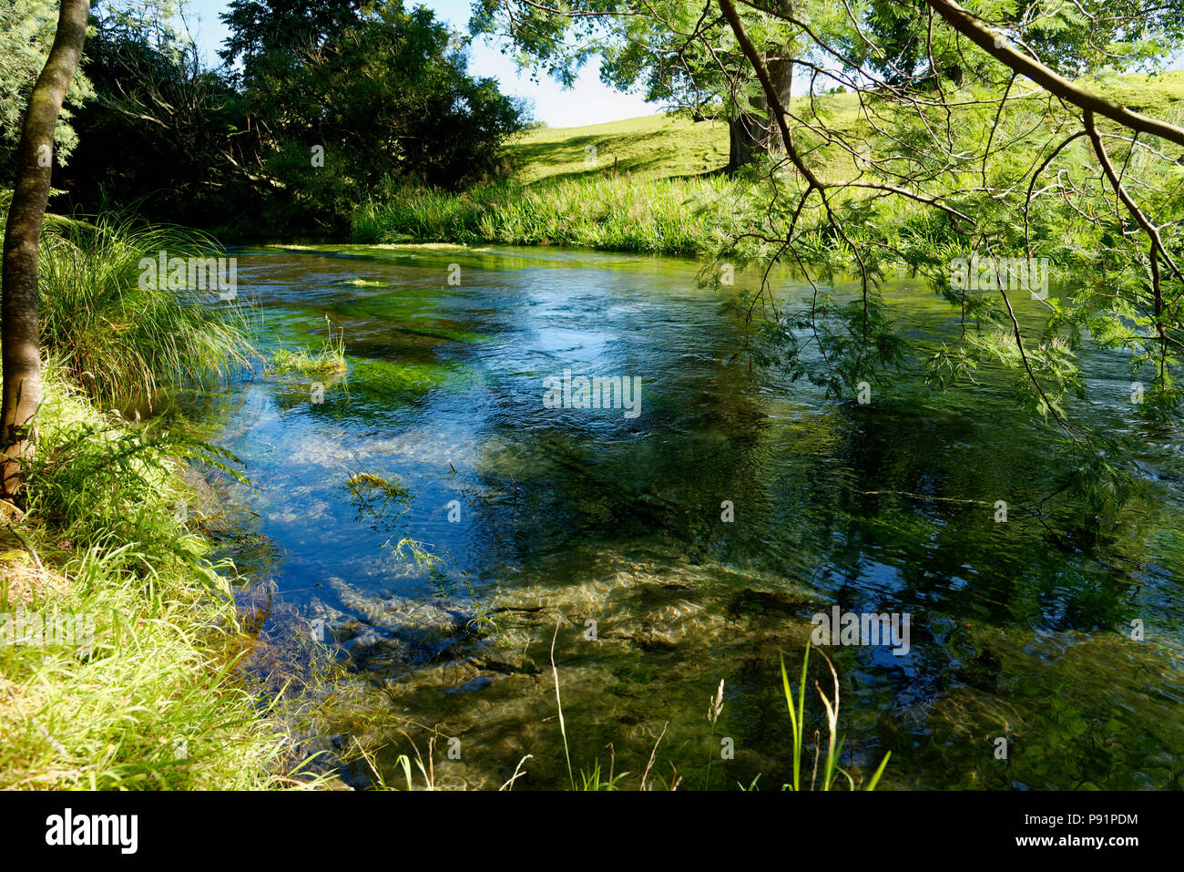 North Island Rivers River surrounded in typical North Island, New Zealand scenery Stock ...
