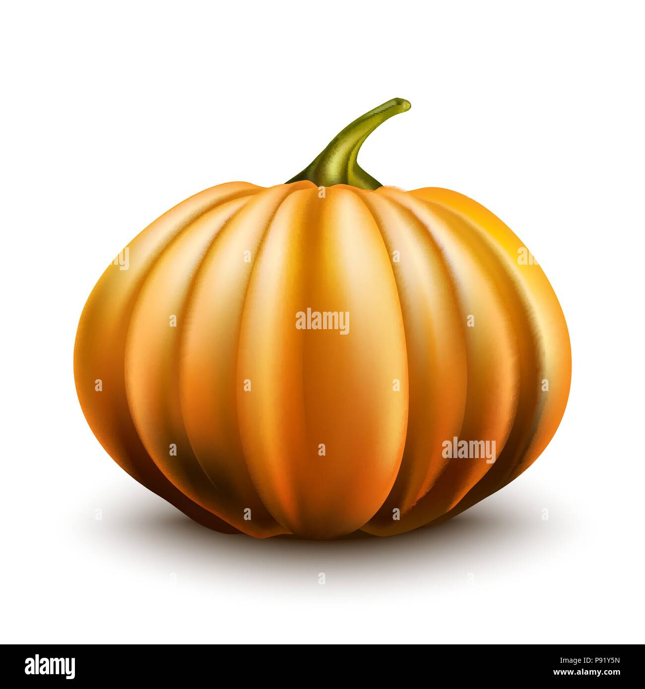 Realistic pumpkin isolated on white background EPS10 Stock Vector Image ...