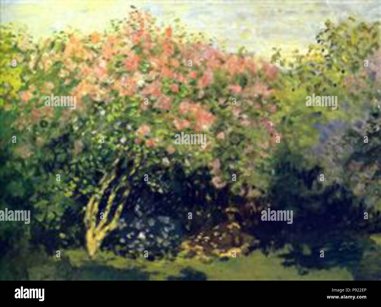 Effect of spring monet hi-res stock photography and images - Alamy