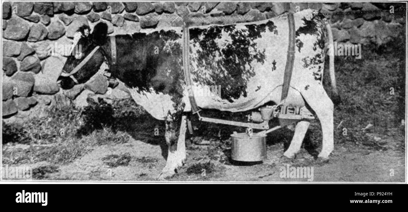 . 435 NSRW Dairy Industry 2 Stock Photo Alamy