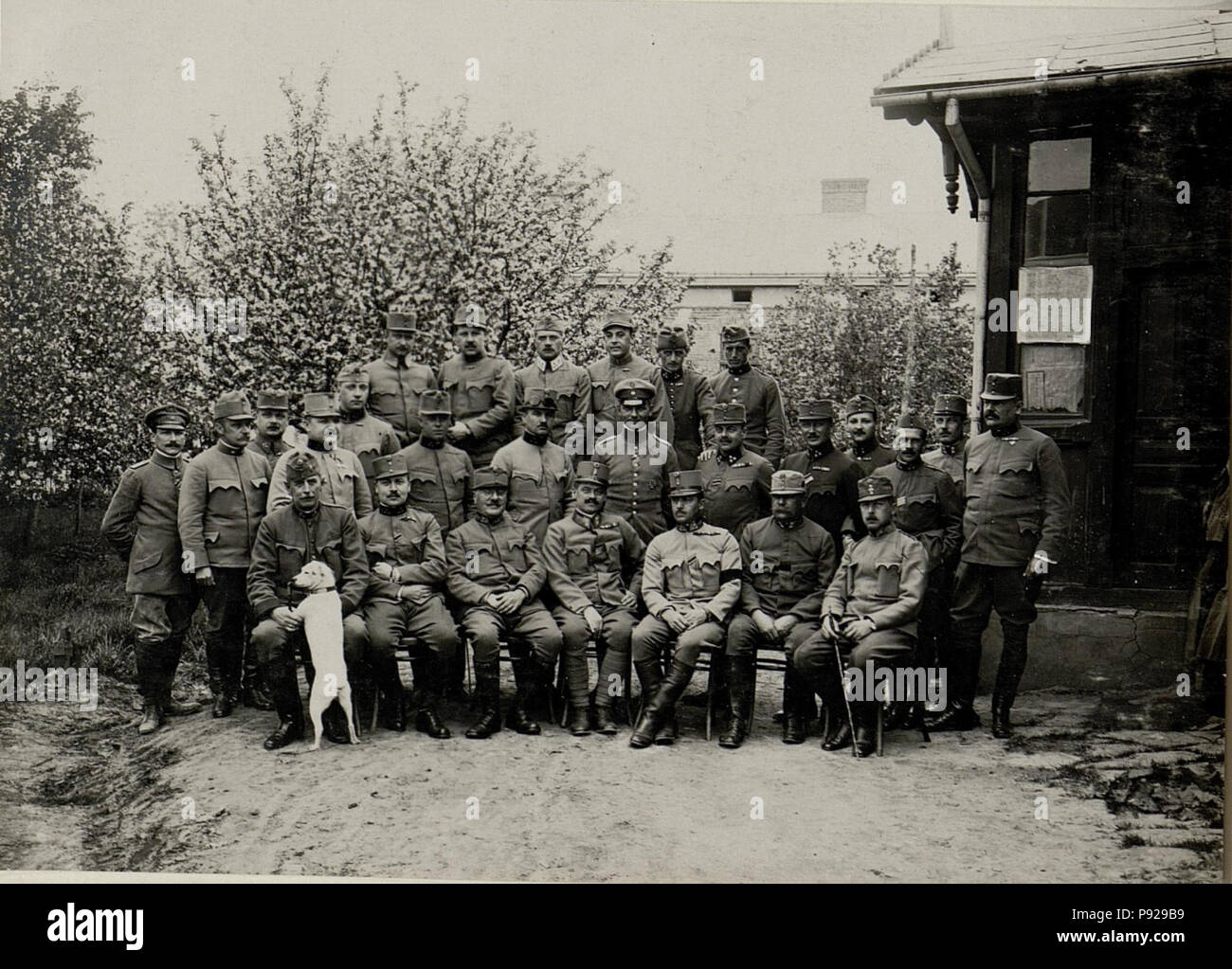 431 Möglicherweise das Korpskommando des 9. Korps (BildID 15541876