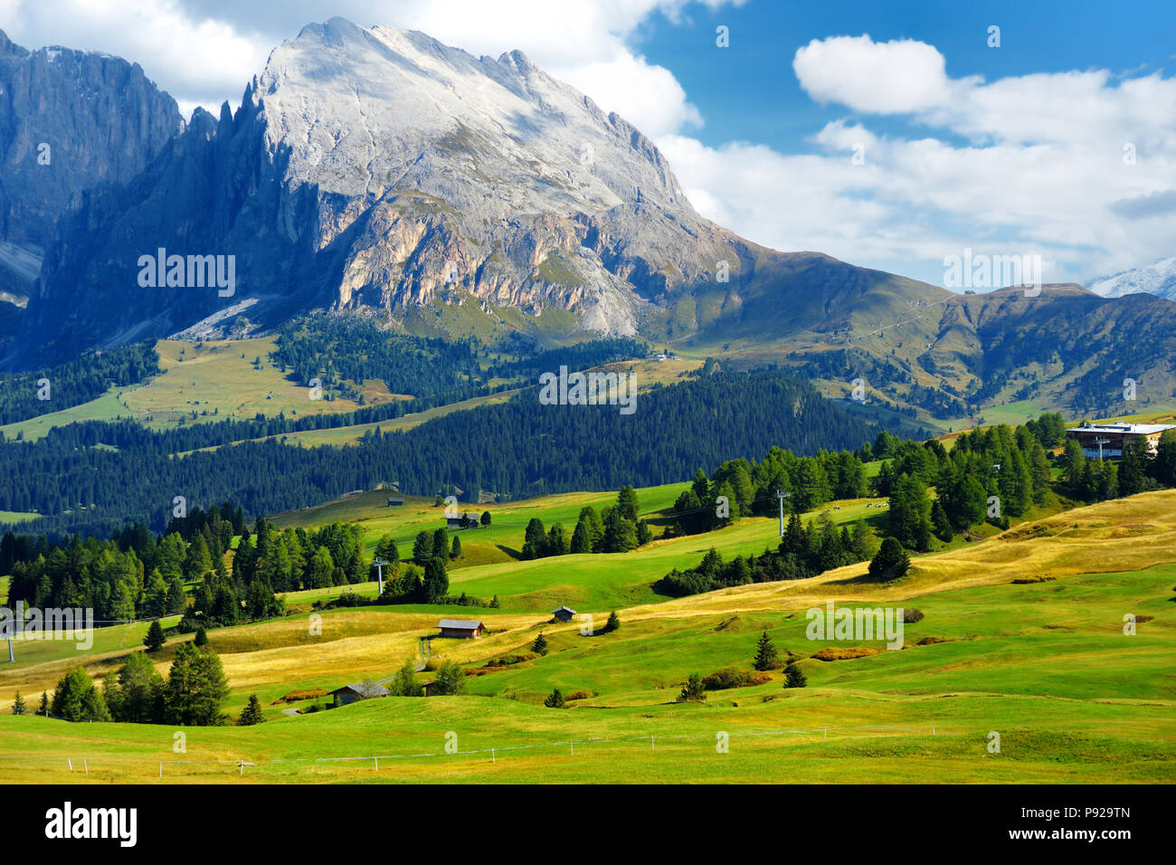 Picture of Seiser Alm
