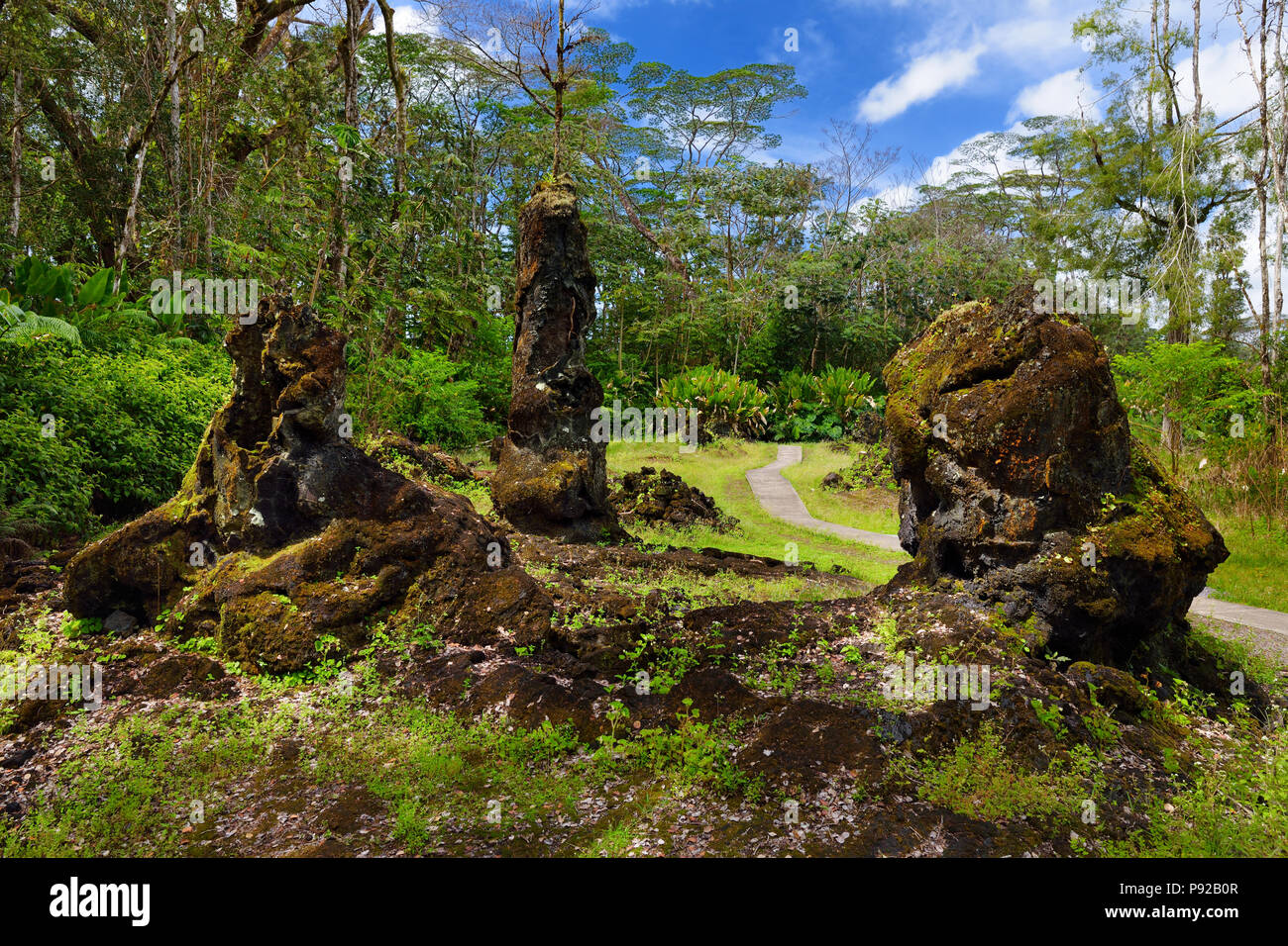 Lava molds of the tree trunks that were formed when a lava flow swept