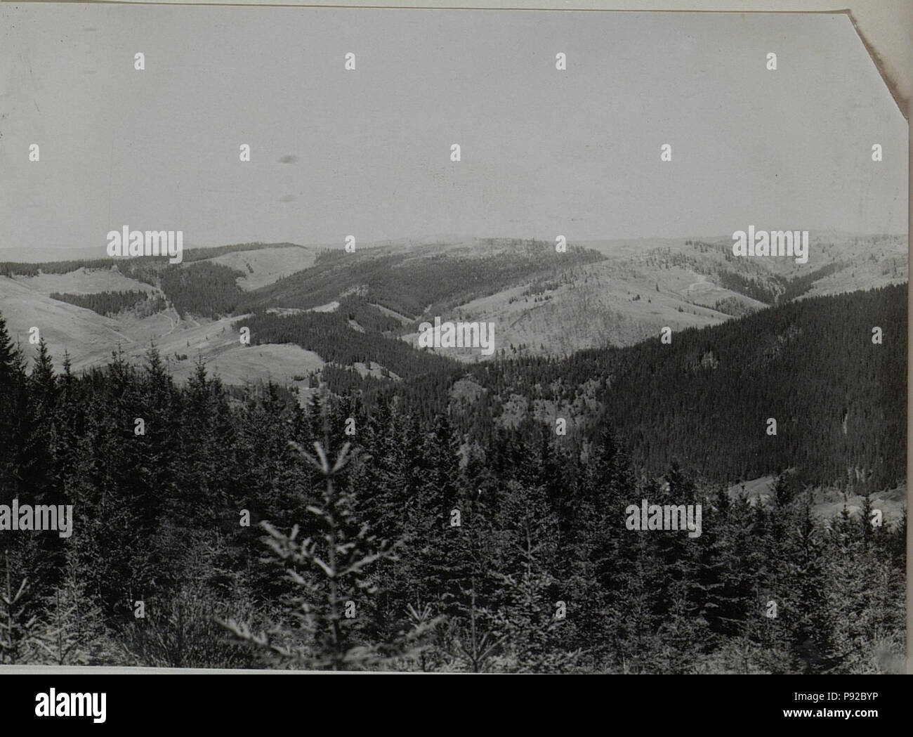 452 Panoramaaufnahme vom Dions.Beobachterstand auf Höhe 1384 (BildID 15453613) Stock Photo